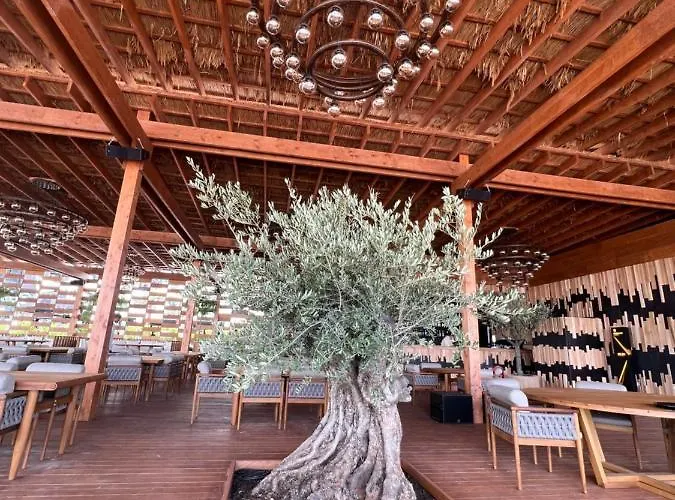 Appartement Richy By The Sea Năvodari