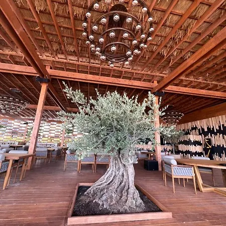 Διαμέρισμα Richy By The Sea Năvodari